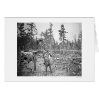 Lumberjacks in Alaska 1916 Cards