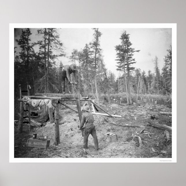Lumberjacks in Alaska 1916 Poster (Front)