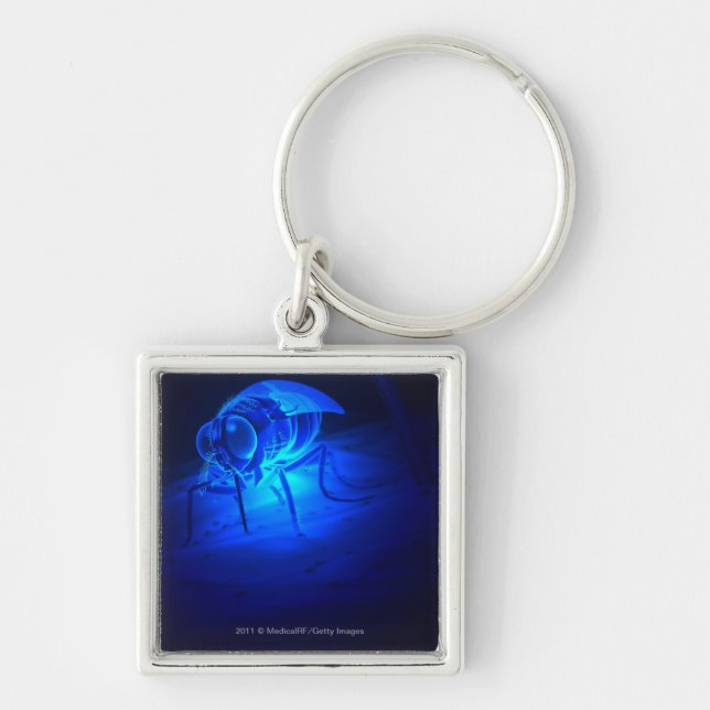 Luminescent illustration of a tsetse fly keychain (Front)