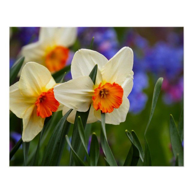 Luminous Blooms Poster (Front)