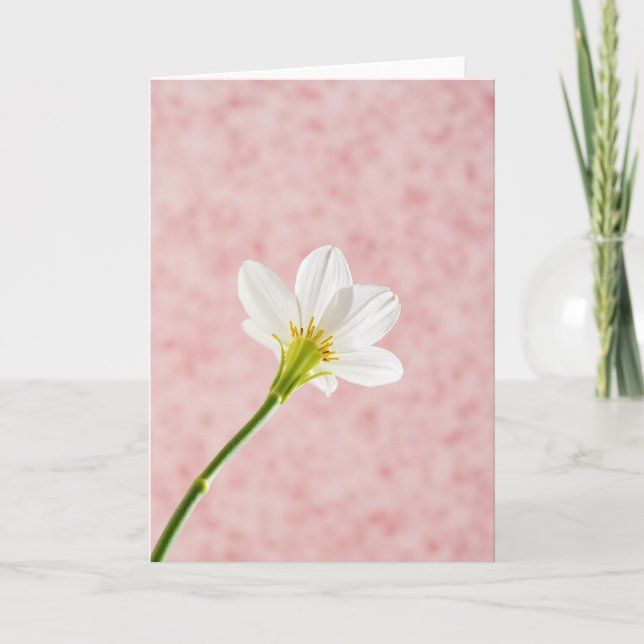 Luminous Blossom Mothers Day Card (Front)