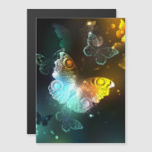 Luminous Butterfly and Night butterflies (Front/Back)