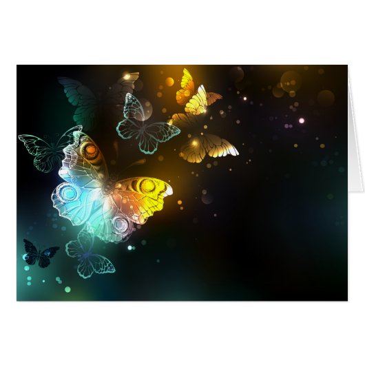 Luminous Butterfly and Night butterflies (Front Horizontal)