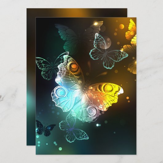 Luminous Butterfly and Night butterflies (Front/Back)