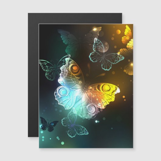 Luminous Butterfly and Night butterflies (Front/Back)