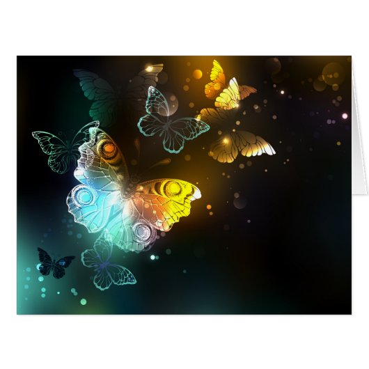 Luminous Butterfly and Night butterflies (Front Horizontal)