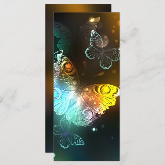 Luminous Butterfly and Night butterflies (Front/Back)