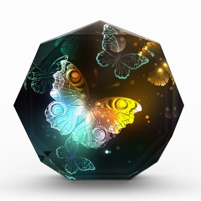 Luminous Butterfly and Night butterflies Acrylic Award (Front)