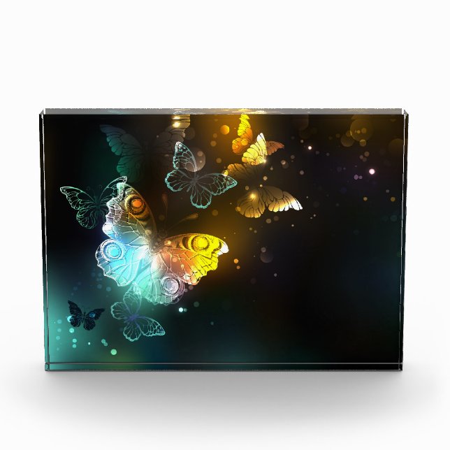 Luminous Butterfly and Night butterflies Acrylic Award (Front)