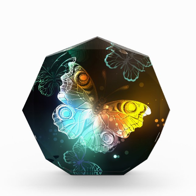 Luminous Butterfly and Night butterflies Acrylic Award (Front)