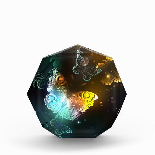 Luminous Butterfly and Night butterflies Acrylic Award (Front)