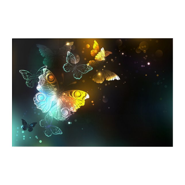 Luminous Butterfly and Night butterflies Acrylic Print (Front)