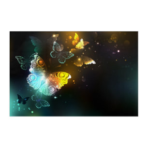 Luminous Butterfly and Night butterflies Acrylic Print