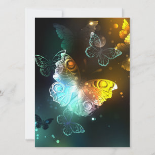 Luminous Butterfly and Night butterflies Announcement