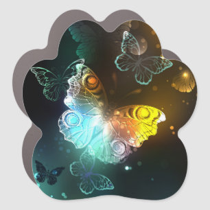 Luminous Butterfly and Night butterflies Car Magnet