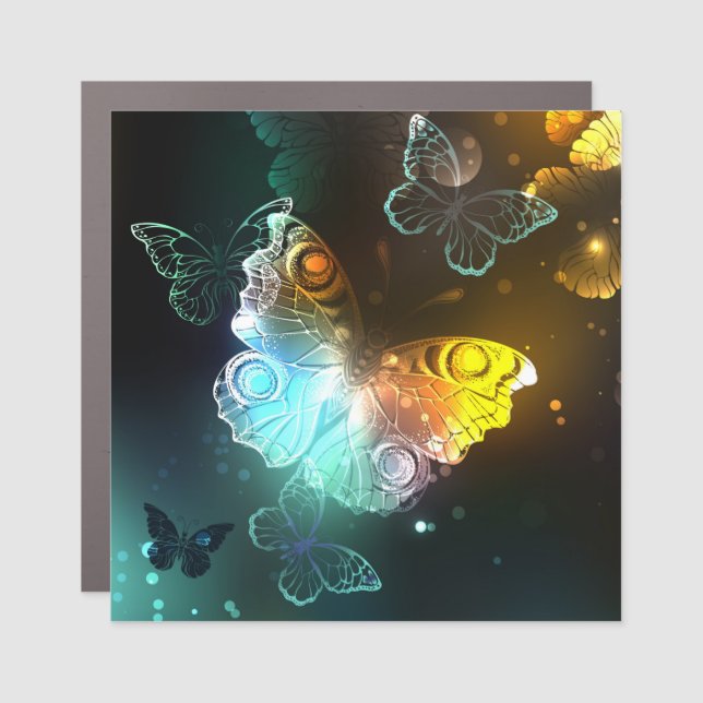 Luminous Butterfly and Night butterflies Car Magnet (Front)