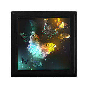 Luminous Butterfly and Night butterflies Gift Box