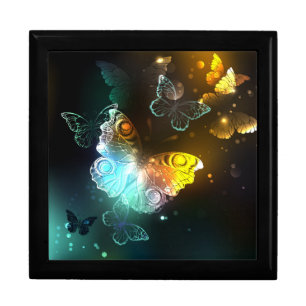 Luminous Butterfly and Night butterflies Gift Box