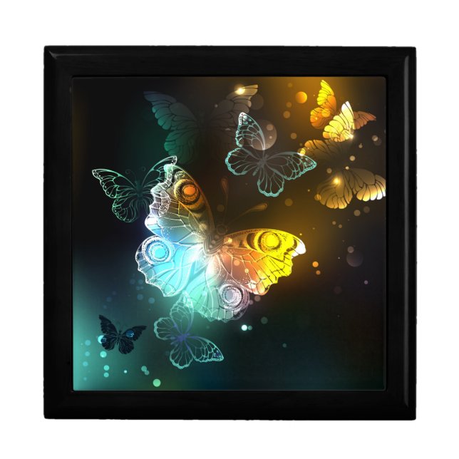 Luminous Butterfly and Night butterflies Gift Box (Front)