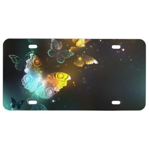 Luminous Butterfly and Night butterflies License Plate