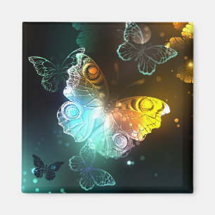 Luminous Butterfly and Night butterflies Magnet
