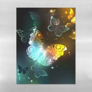 Luminous Butterfly and Night butterflies Magnetic Dry Erase Sheet