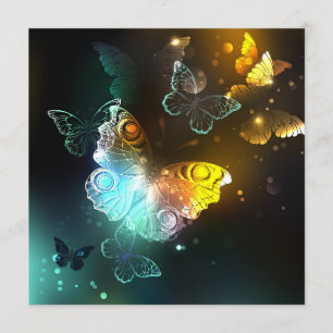 Luminous Butterfly and Night butterflies Menu