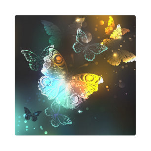 Luminous Butterfly and Night butterflies Metal Print