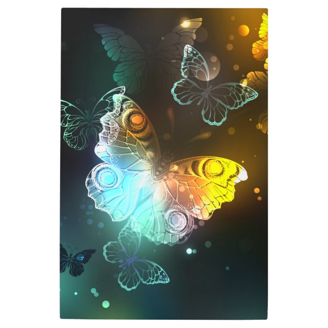 Luminous Butterfly and Night butterflies Metal Print (Front)