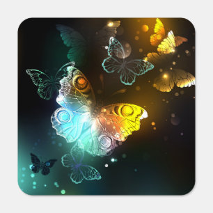 Luminous Butterfly and Night butterflies Metal Sign