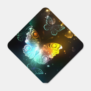 Luminous Butterfly and Night butterflies Metal Sign