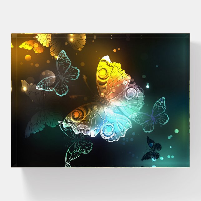 Luminous Butterfly and Night butterflies Paperweight (Front)