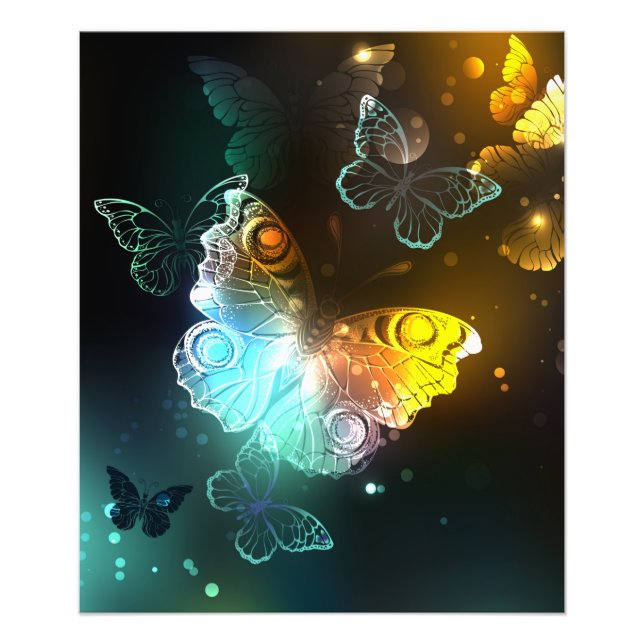 Luminous Butterfly and Night butterflies Photo Print (Front)