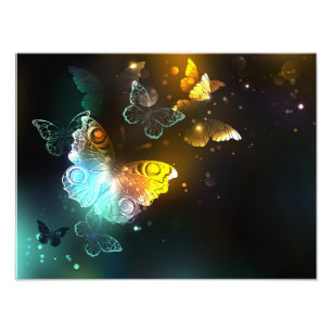 Luminous Butterfly and Night butterflies Photo Print