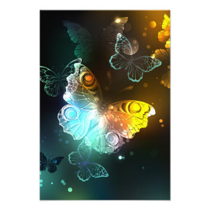 Luminous Butterfly and Night butterflies Photo Print