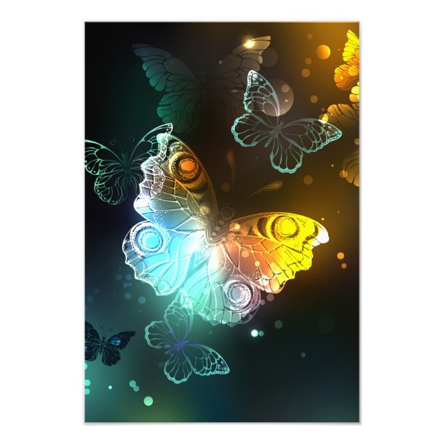 Luminous Butterfly and Night butterflies Photo Print (Front)