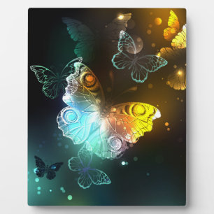 Luminous Butterfly and Night butterflies Plaque