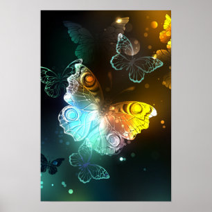 Luminous Butterfly and Night butterflies Poster