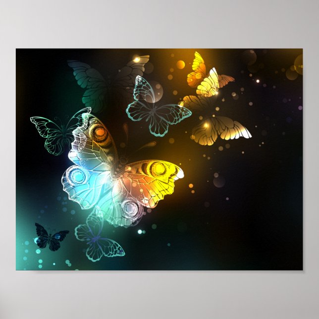 Luminous Butterfly and Night butterflies Poster (Front)