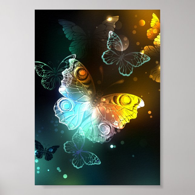 Luminous Butterfly and Night butterflies Poster (Front)