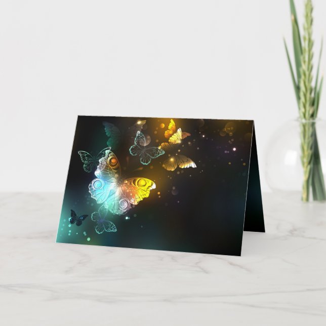 Luminous Butterfly and Night butterflies Program (Front)