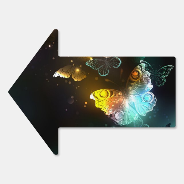 Luminous Butterfly and Night butterflies Sign (Front)