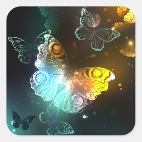 Luminous Butterfly and Night butterflies Square Sticker