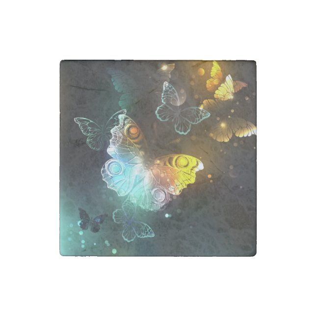 Luminous Butterfly and Night butterflies Stone Magnet (Front)