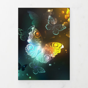 Luminous Butterfly and Night butterflies Tri-Fold Program