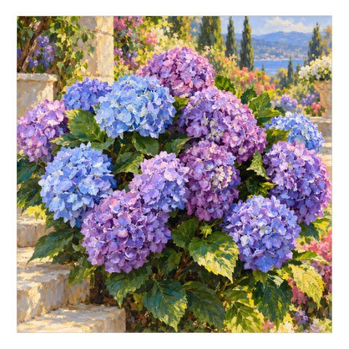 Luminous Coastal Hydrangeas Blue and Lilac Garden Acrylic Print