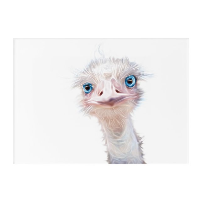 Luminous Emu Art Acrylic Print (Front)