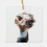 Luminous Emu Bird Art Ceramic Ornament