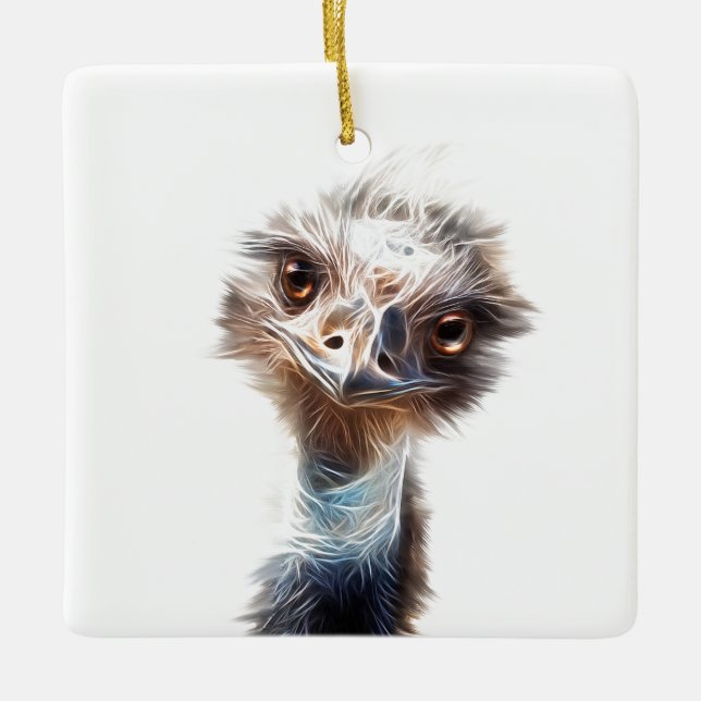 Luminous Emu Bird Art Ceramic Ornament (Front)