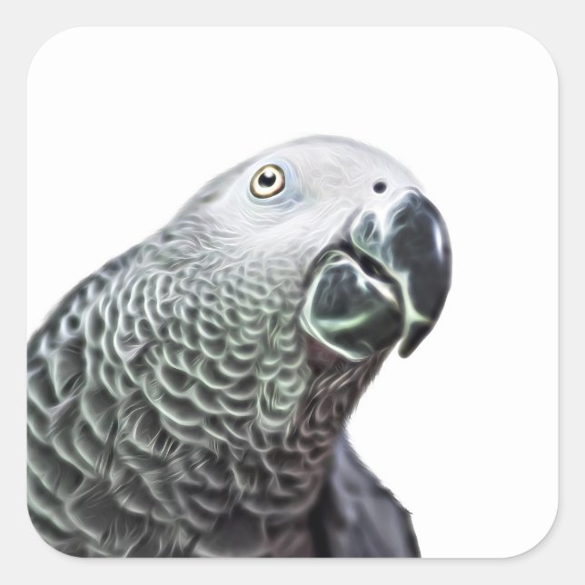 Luminous Parrot Art African Grey Bird Stickers (Front)